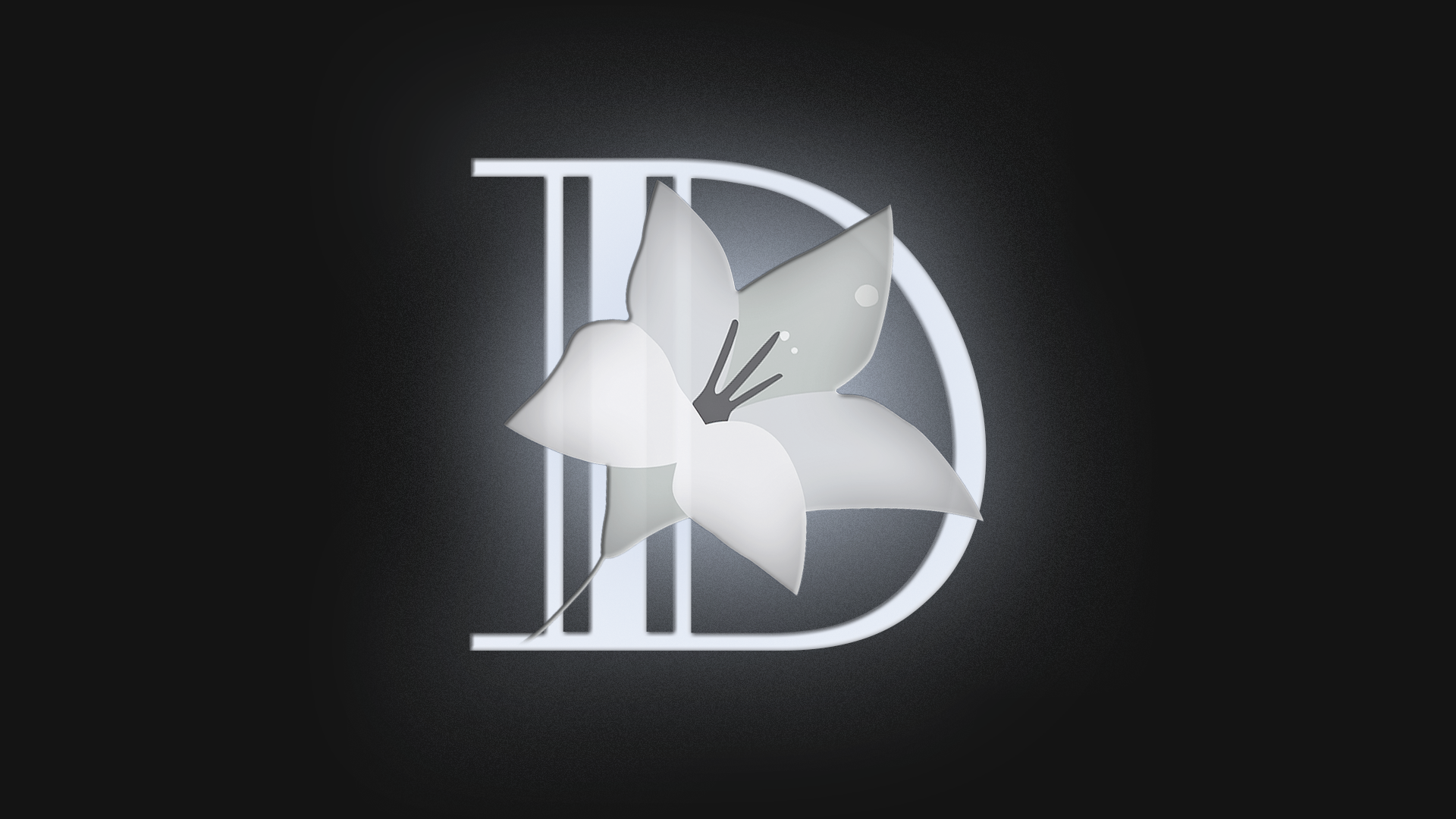 Devorielle portfolio